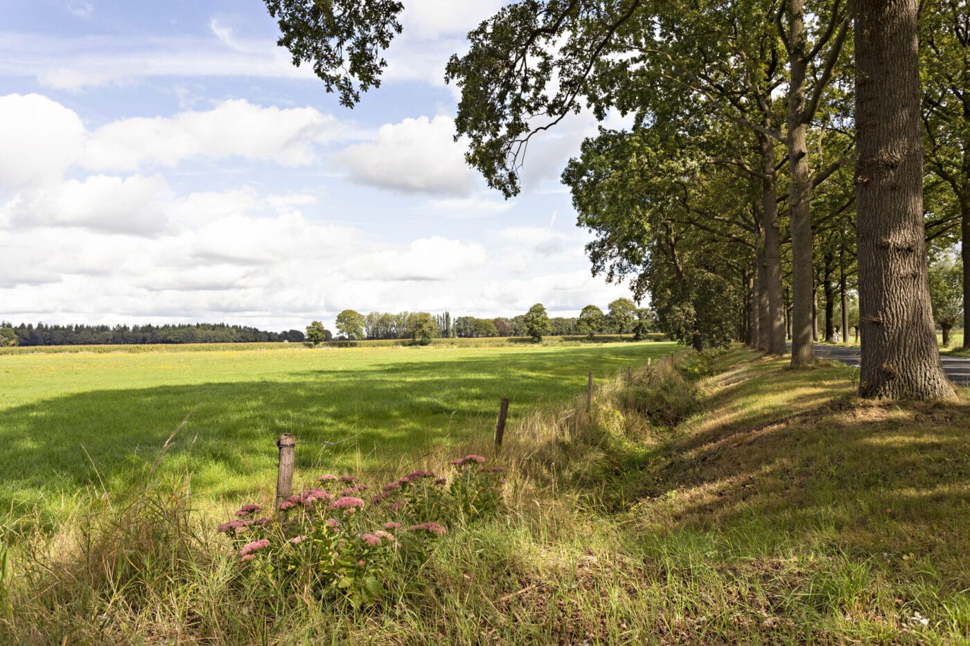 Huis kopen of verkopen in Schalkhaar? Mercurius Makelaars helpt je graag