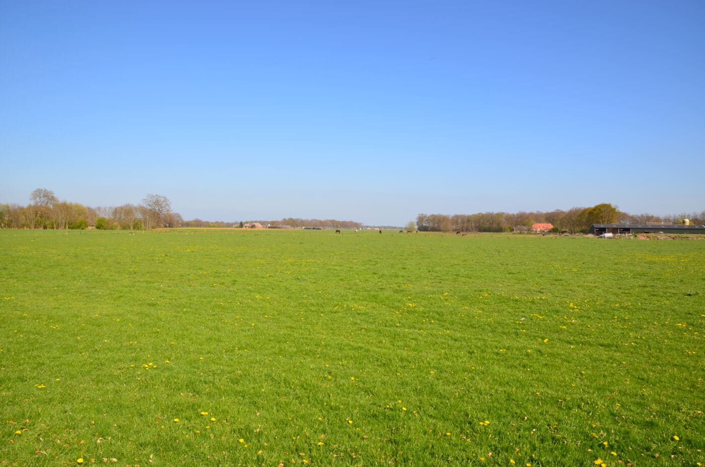 Lettele, de plek waar een makelaar uit Deventer je gewóón kan helpen. Maak kennis met Mercurius Makelaars!